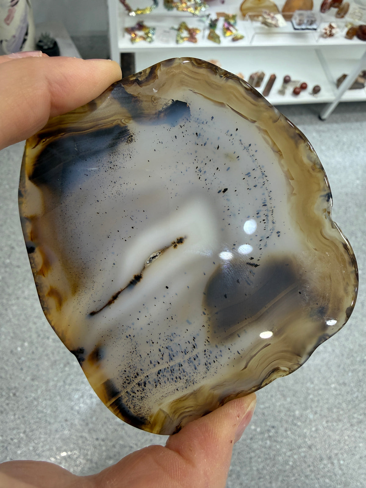 Agate Slice- Brazil