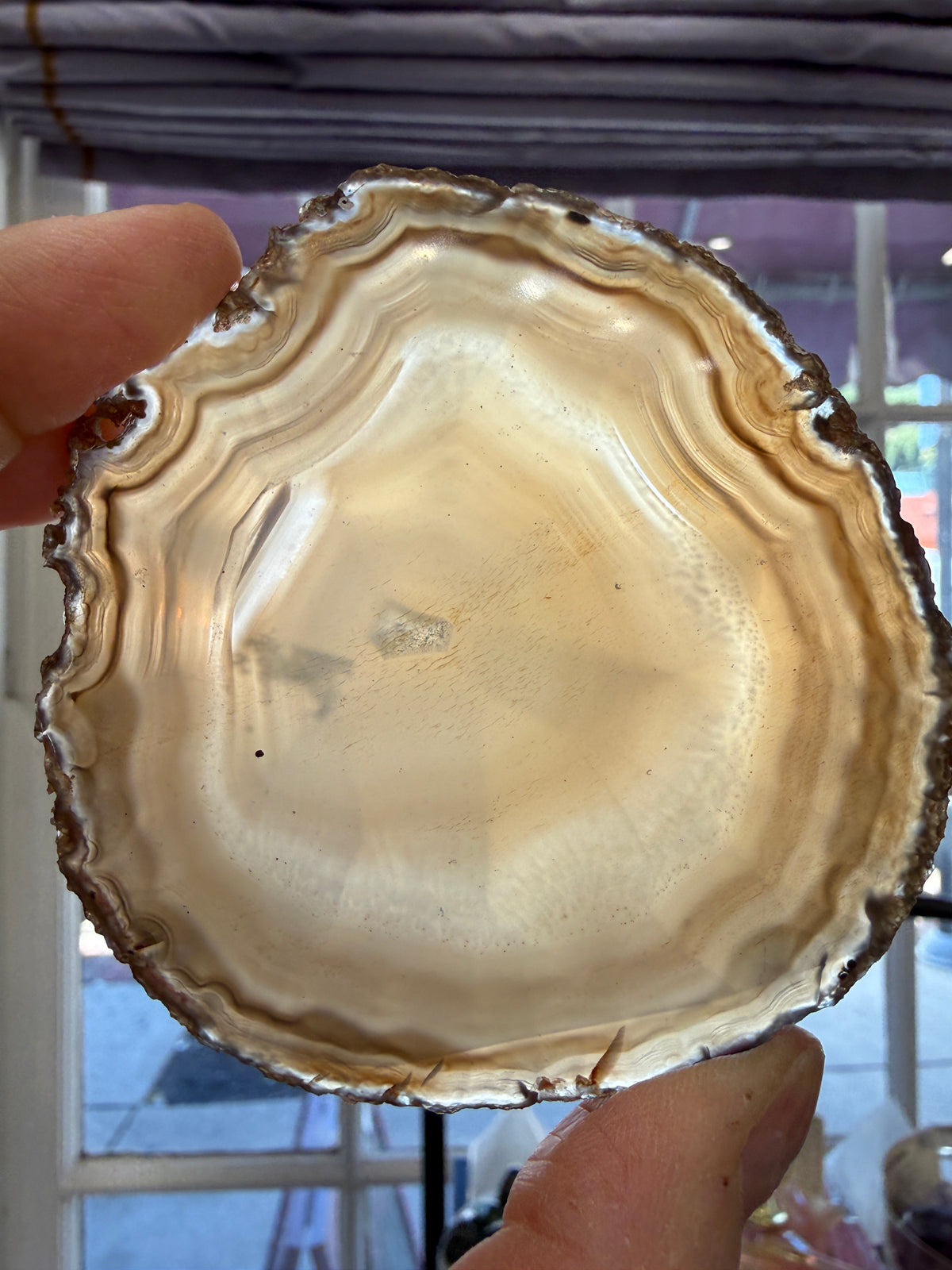 Agate Slice- Brazil