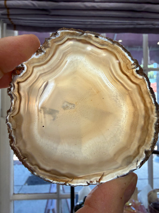 Agate Slice- Brazil
