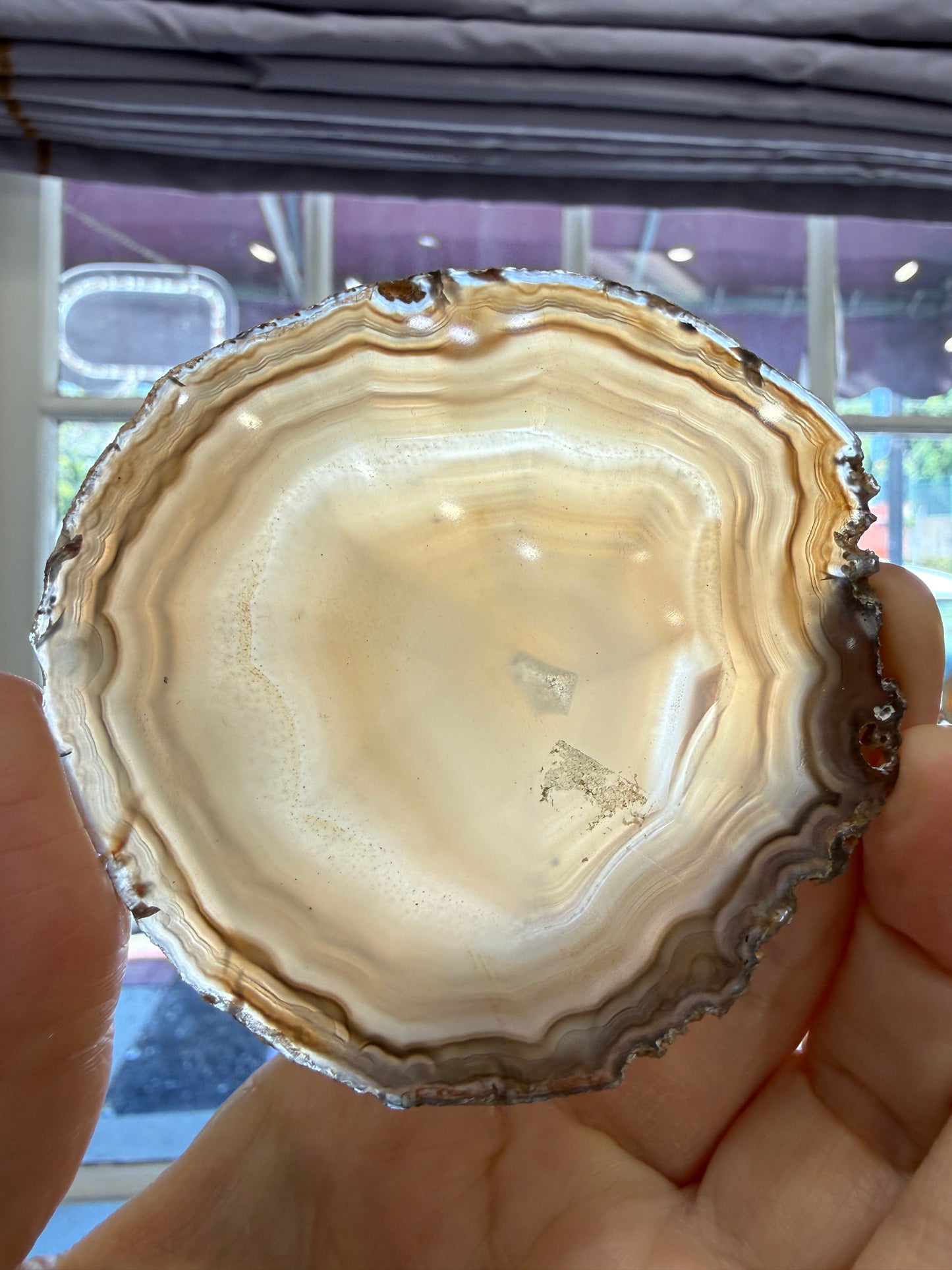 Agate Slice- Brazil