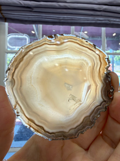 Agate Slice- Brazil