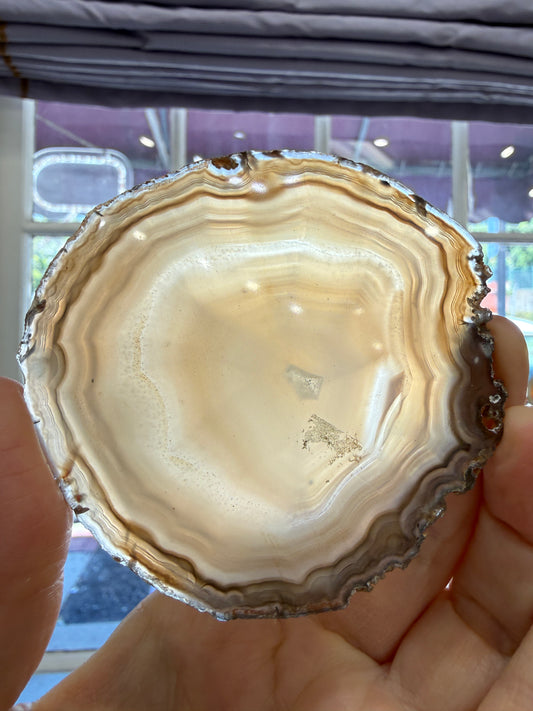 Agate Slice- Brazil