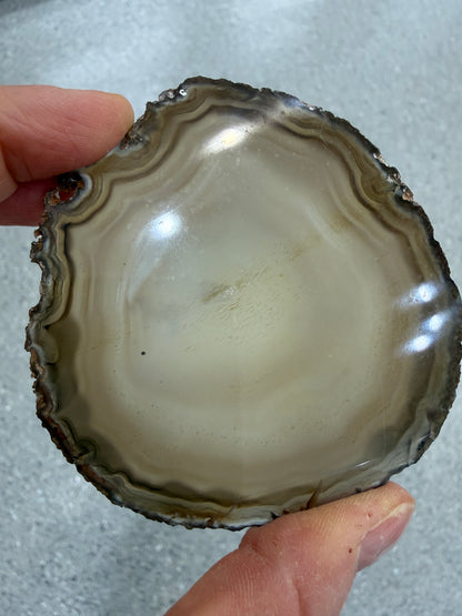 Agate Slice- Brazil