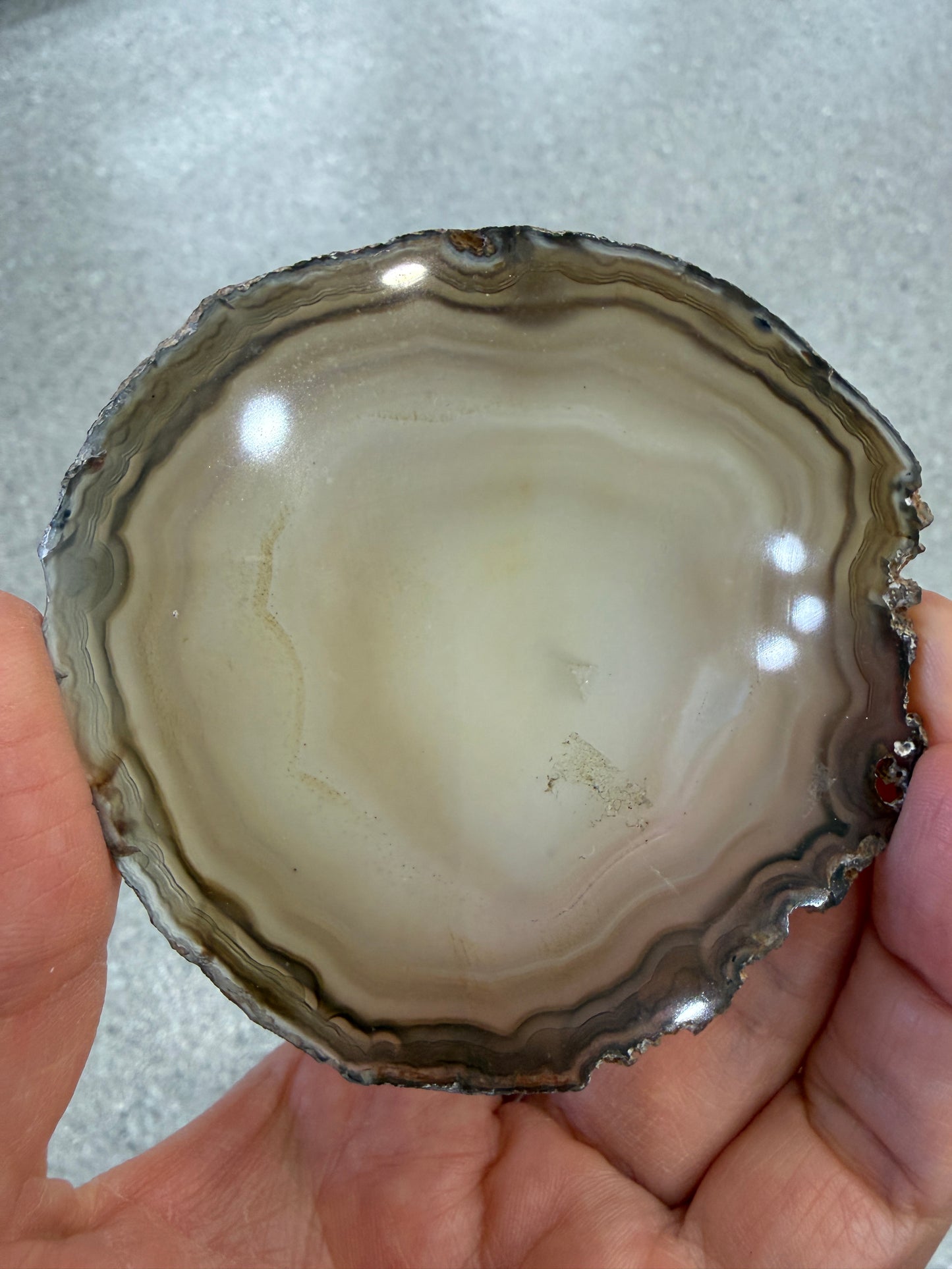 Agate Slice- Brazil