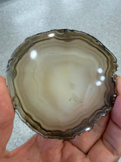 Agate Slice- Brazil