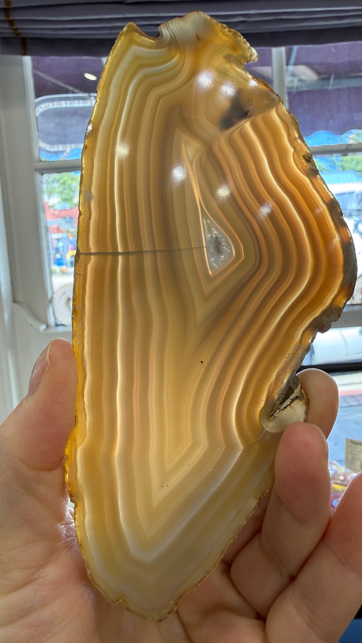 Agate Slice- Brazil