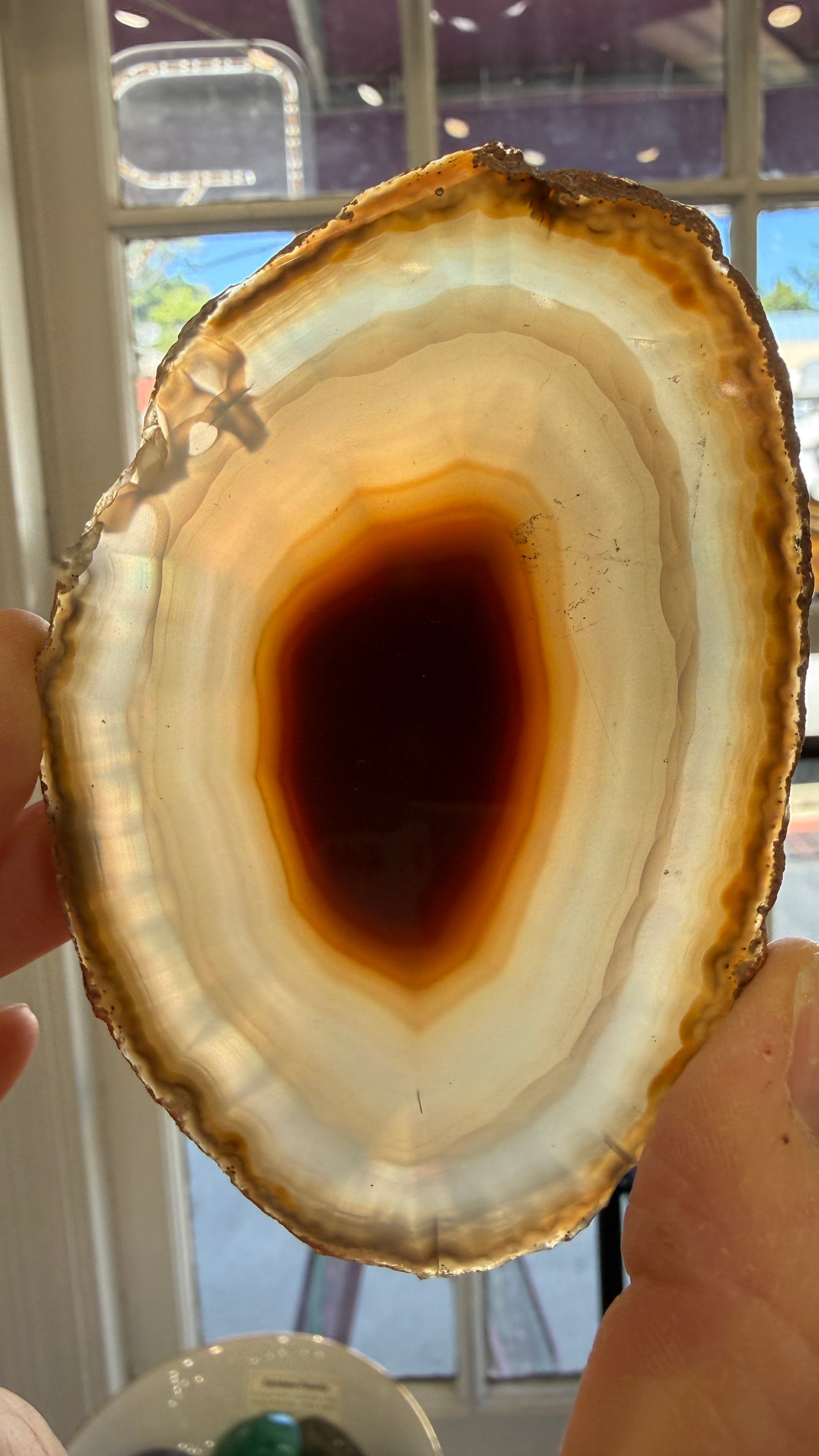 Agate Slice- Brazil