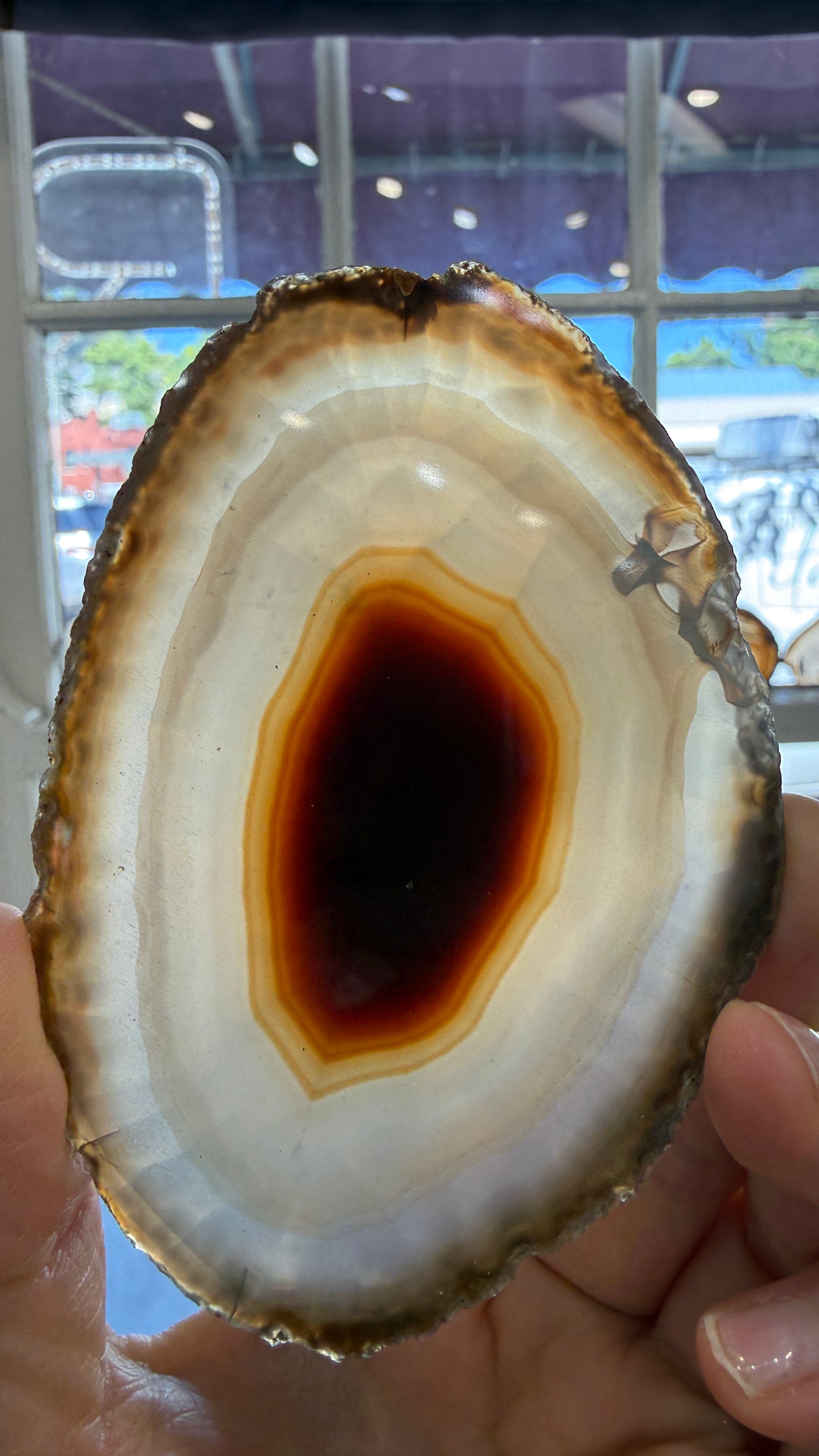 Agate Slice- Brazil