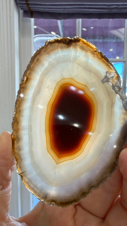 Agate Slice- Brazil
