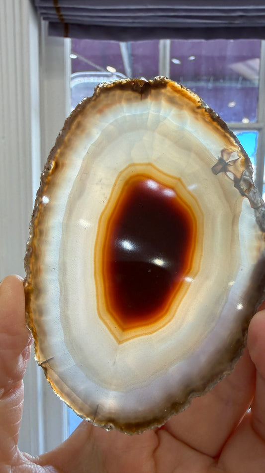 Agate Slice- Brazil