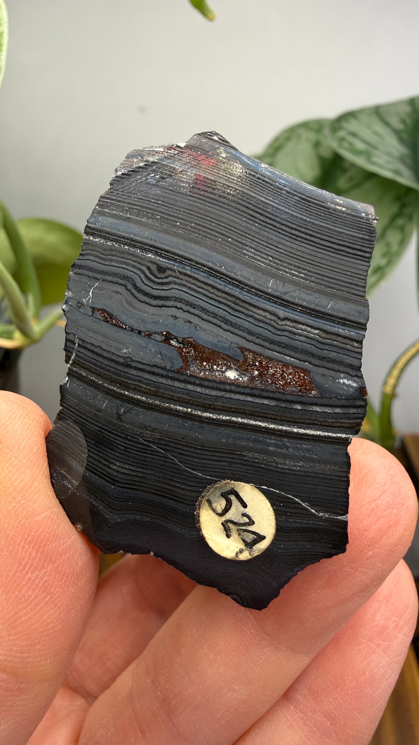 Banded Manganese Oxide (Originally identified Psilomelane)