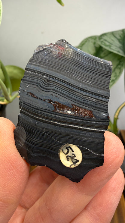Banded Manganese Oxide (Originally identified Psilomelane)