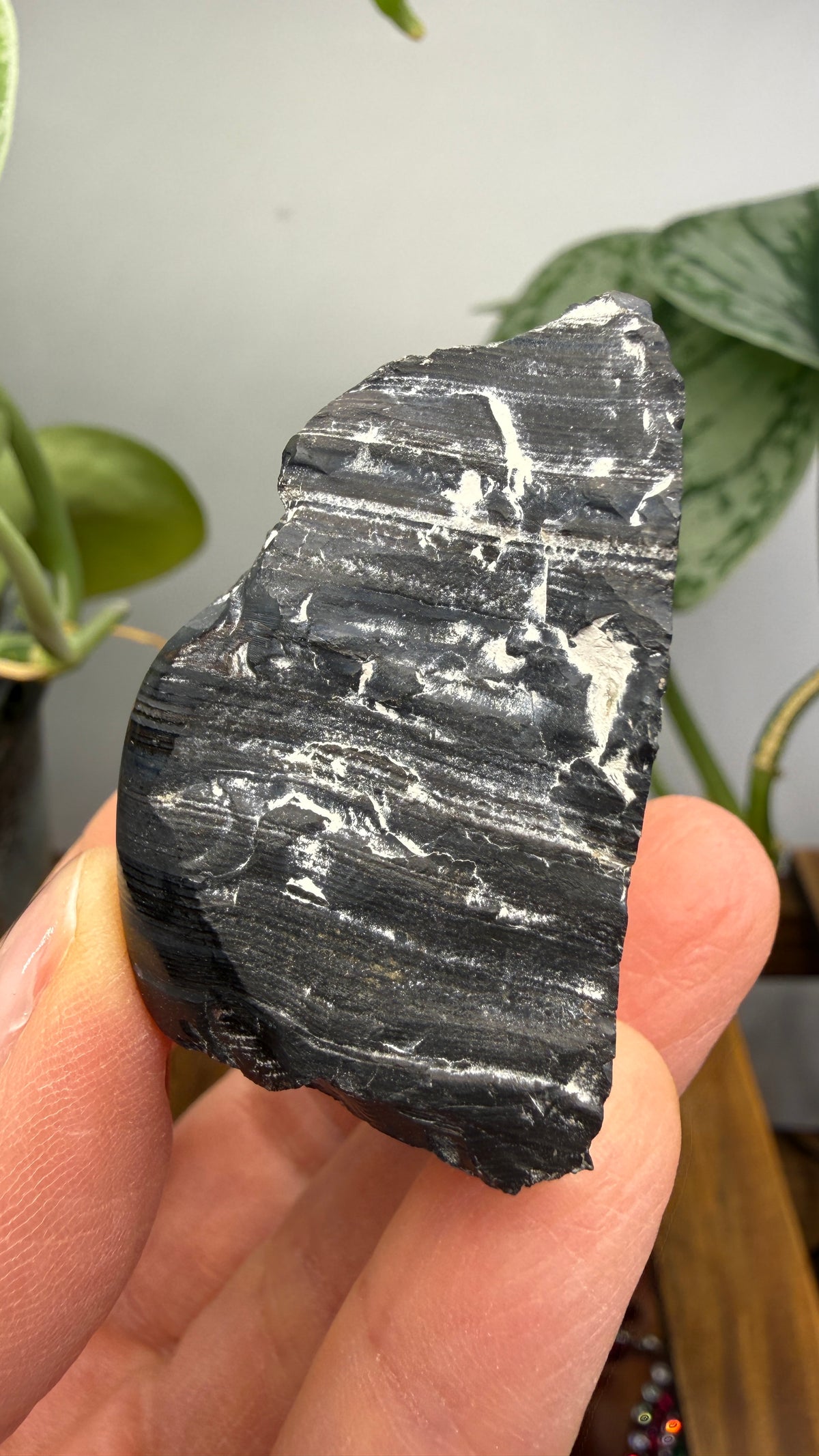 Banded Manganese Oxide (Originally identified Psilomelane)