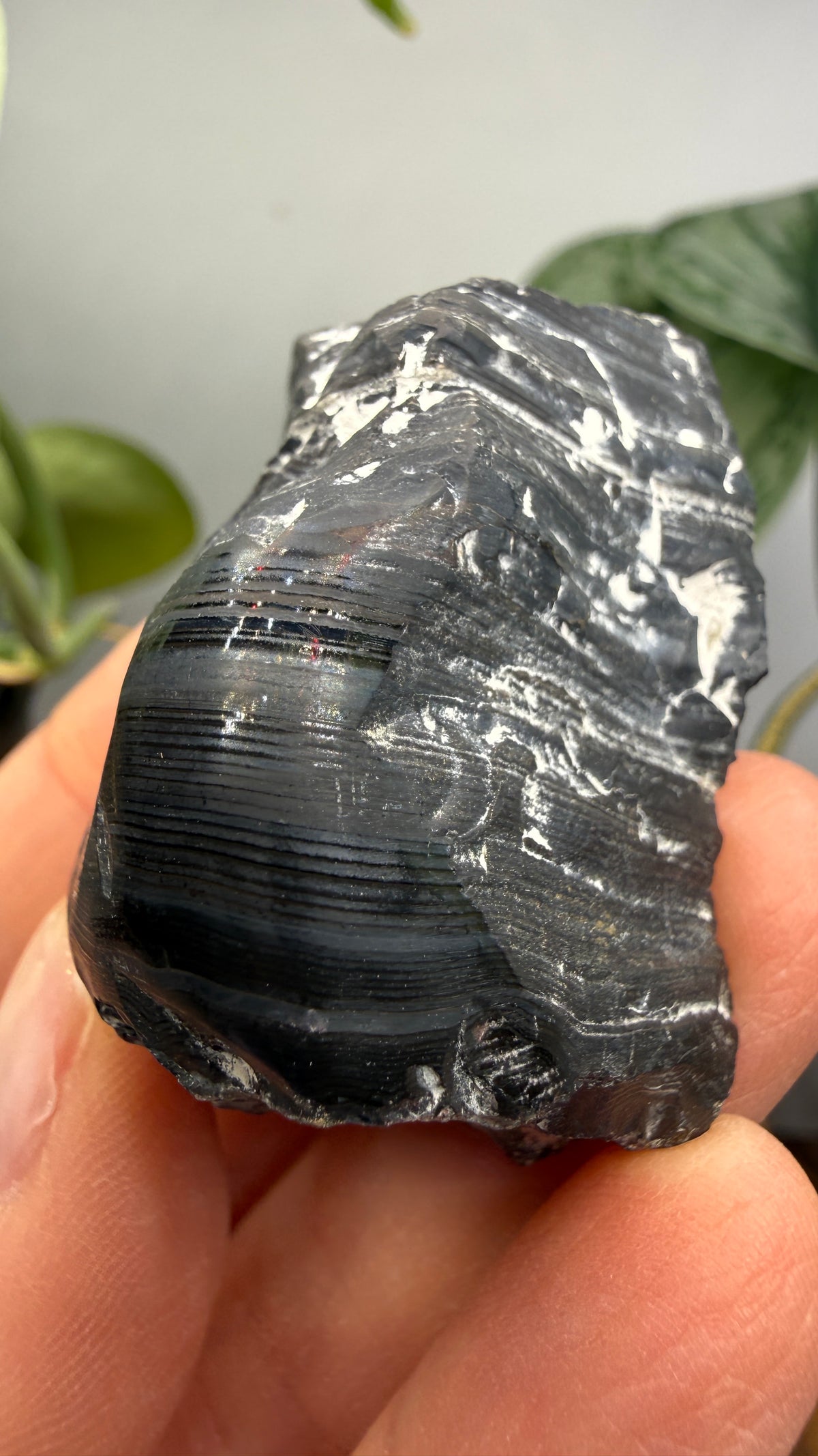 Banded Manganese Oxide (Originally identified Psilomelane)