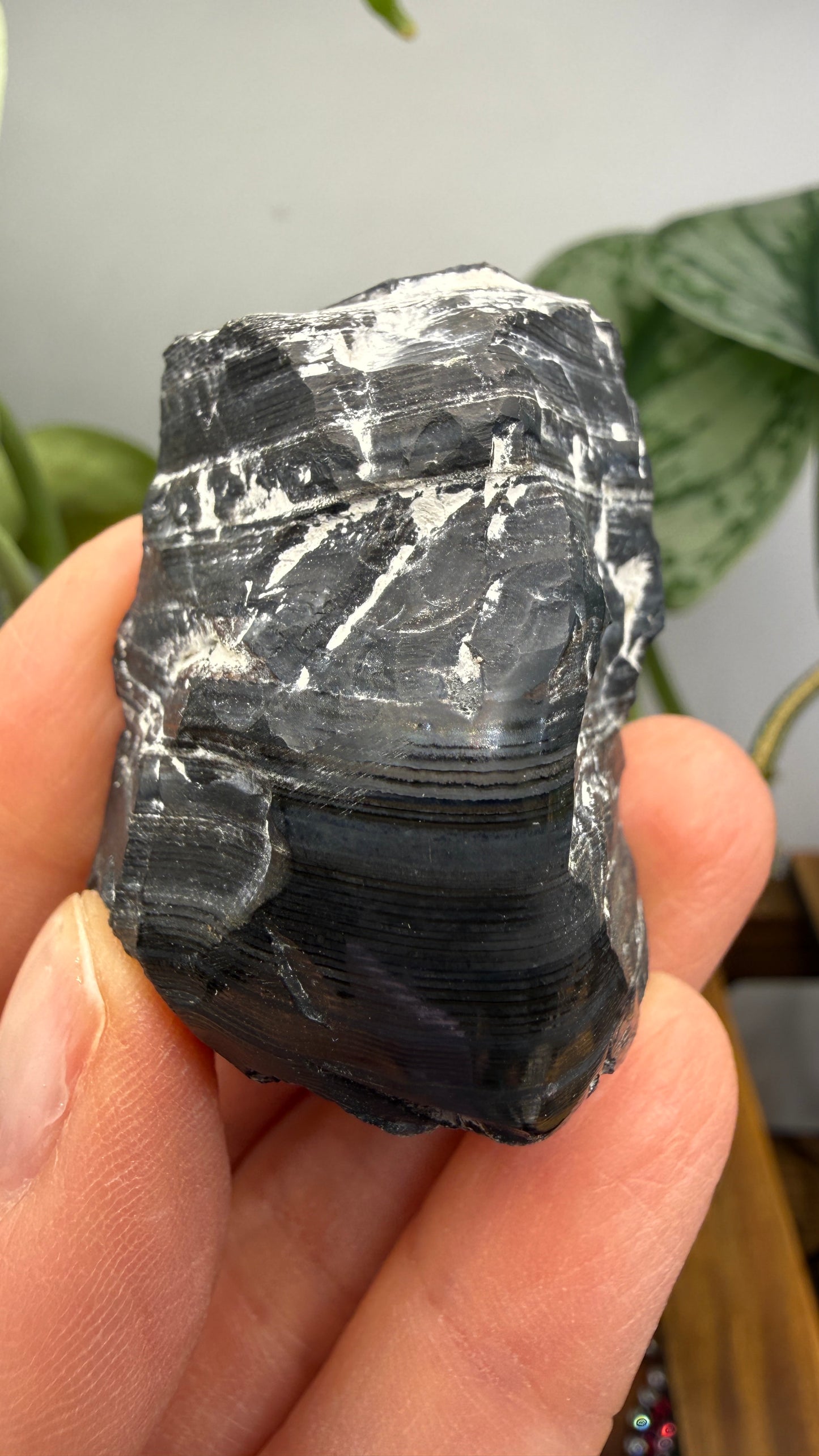 Banded Manganese Oxide (Originally identified Psilomelane)