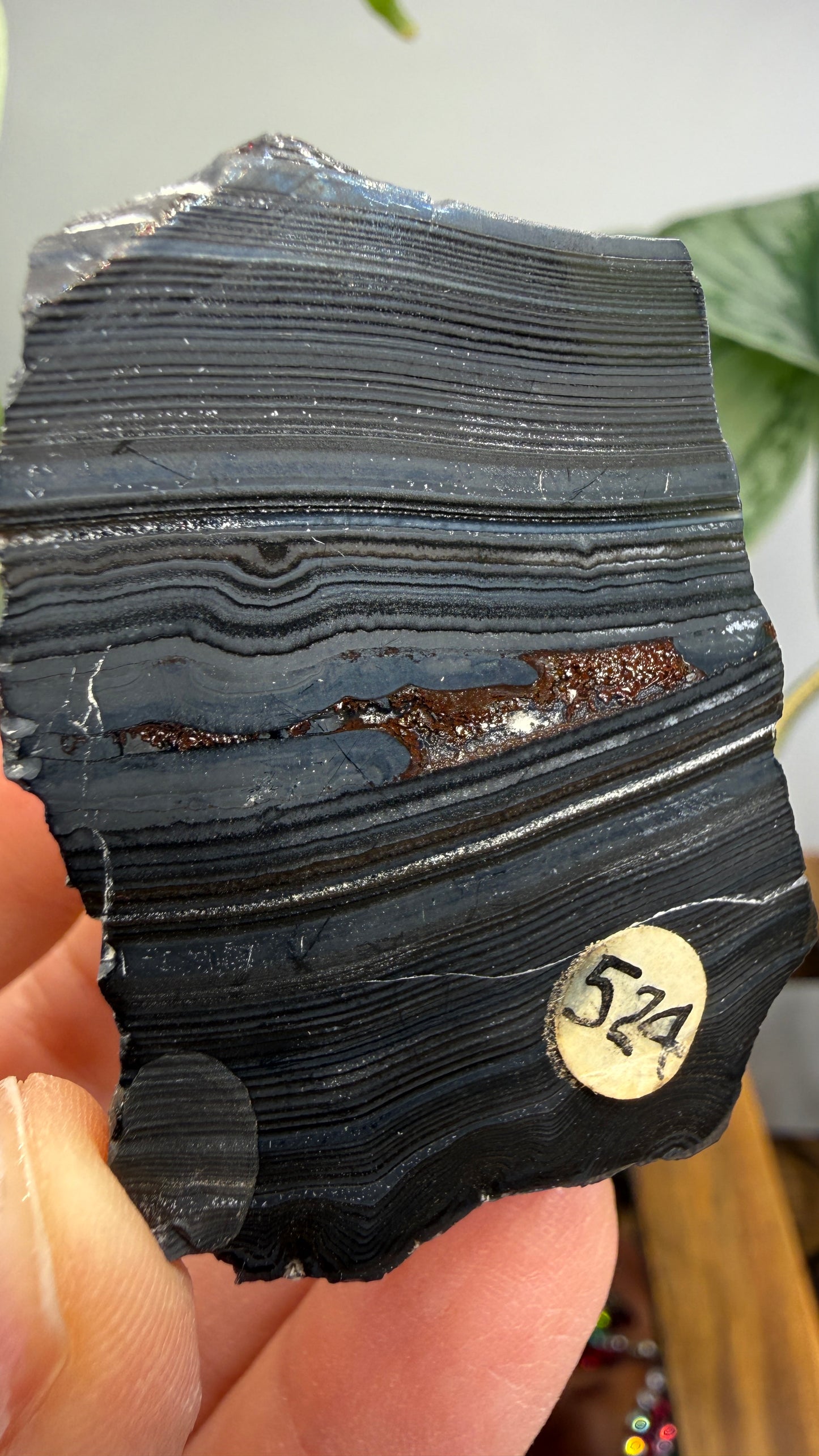 Banded Manganese Oxide (Originally identified Psilomelane)