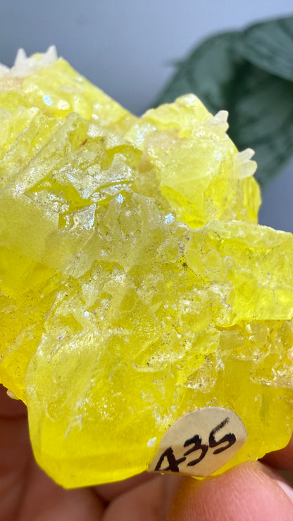 Native Sulfur- Racalmuto, Agrigento Province, Sicily, Italy