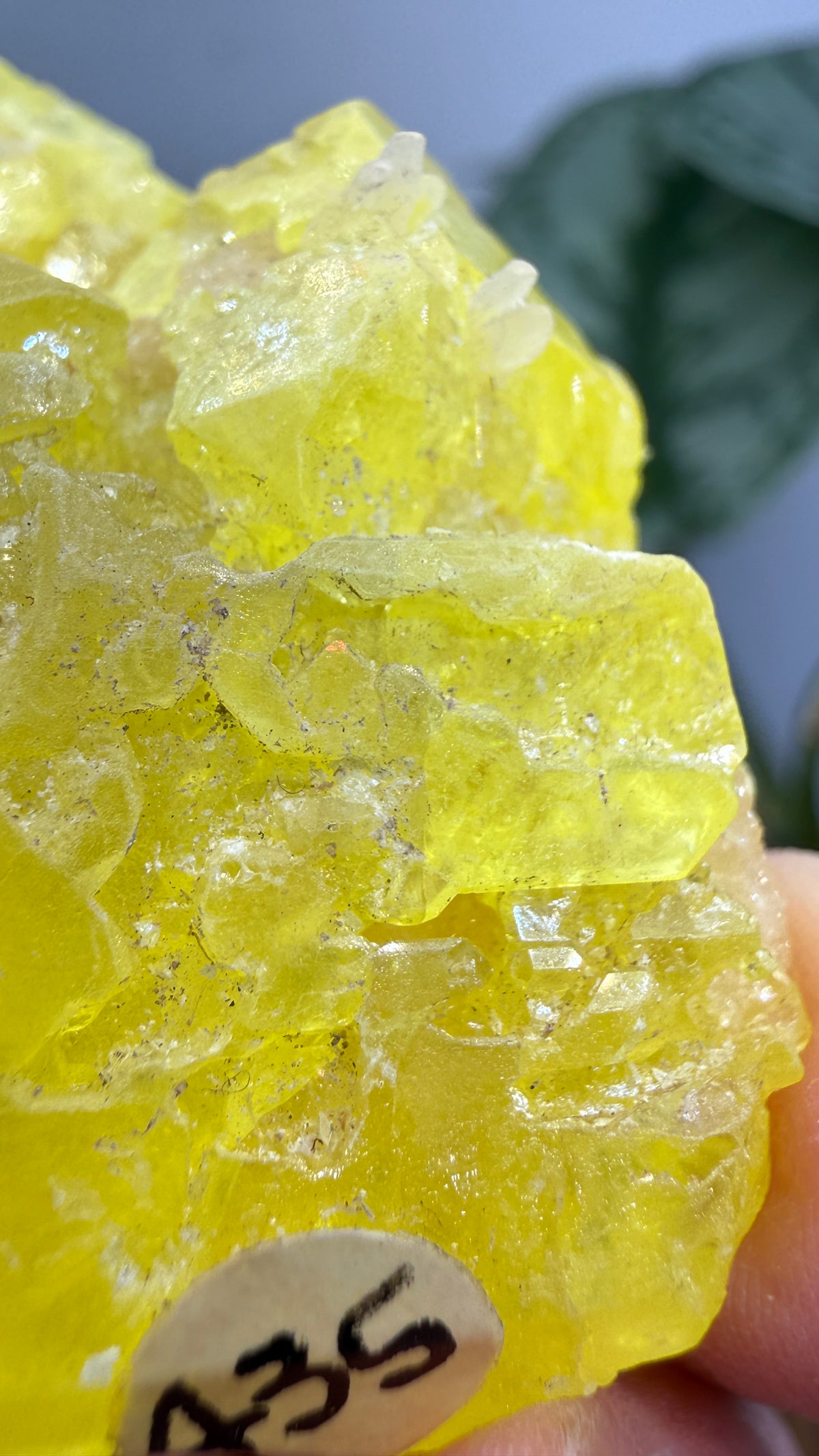 Native Sulfur- Racalmuto, Agrigento Province, Sicily, Italy