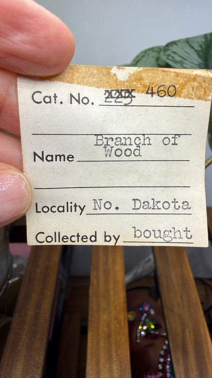 Petrified Wood Branch- North Dakota