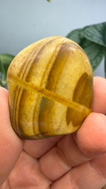 Petrified “Beach Wood”- Newport, Oregon