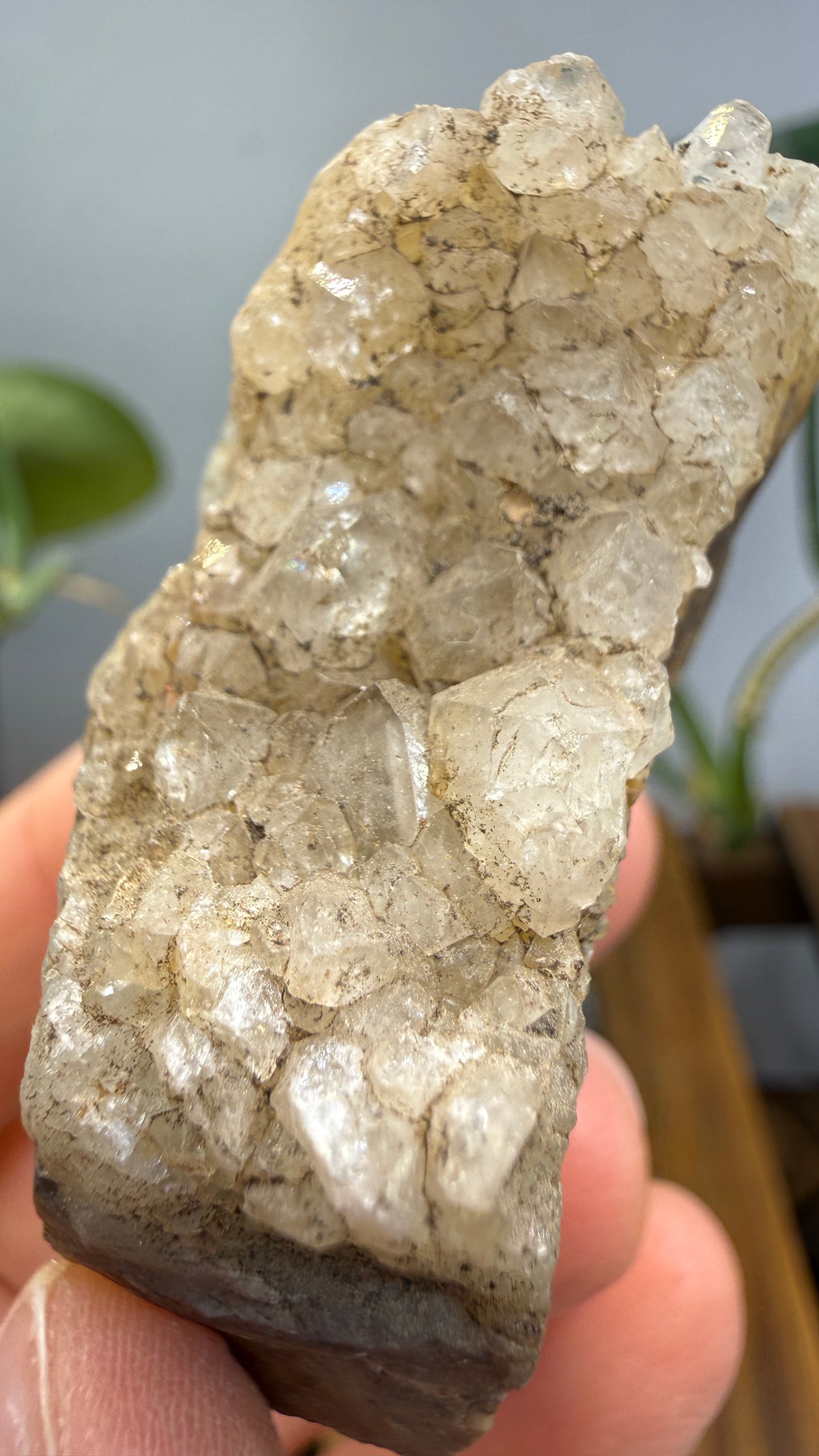 Quartz Crystals on Flint- Flint Ridge, Ohio