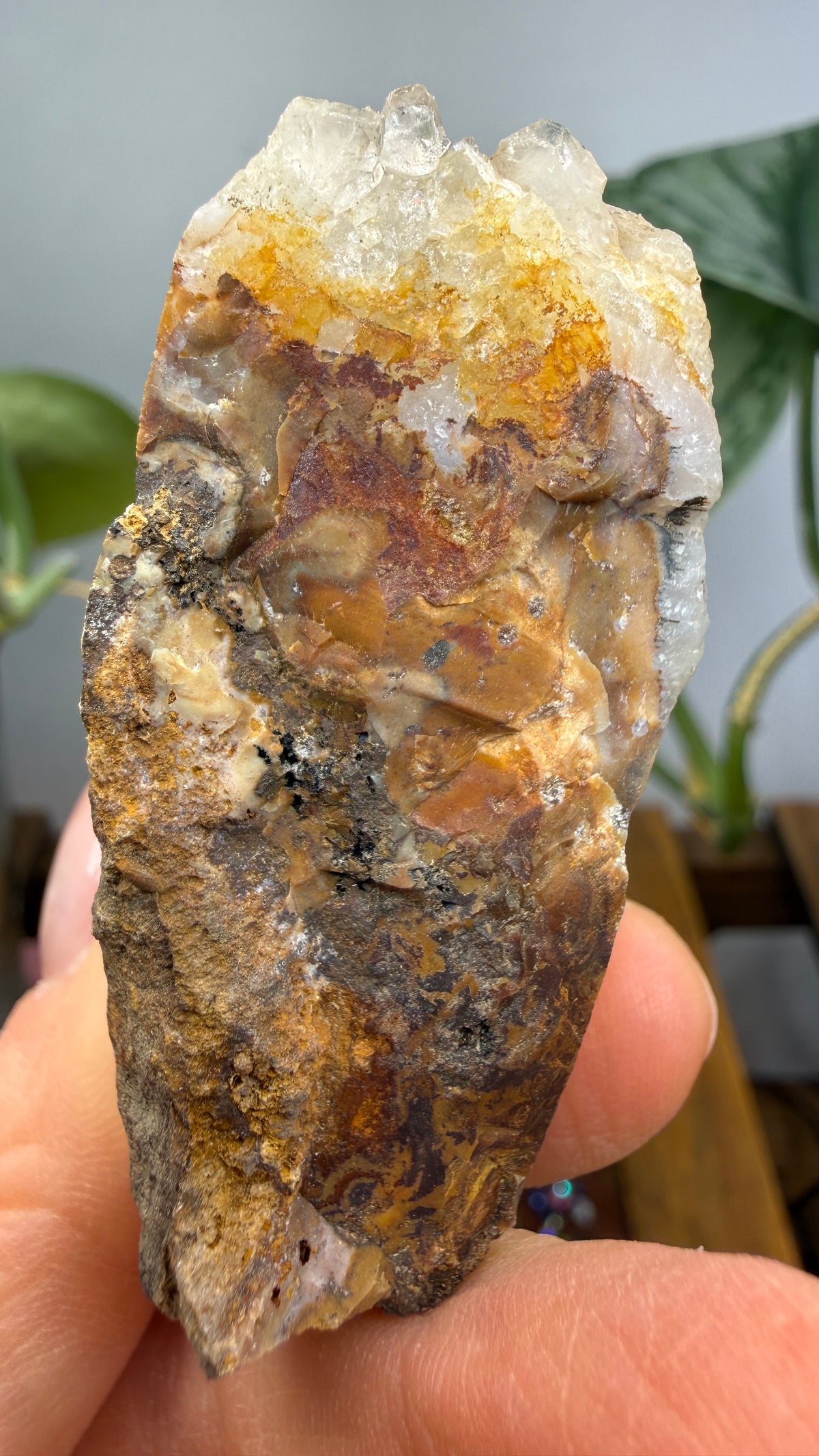 Quartz Crystals on Flint- Flint Ridge, Ohio