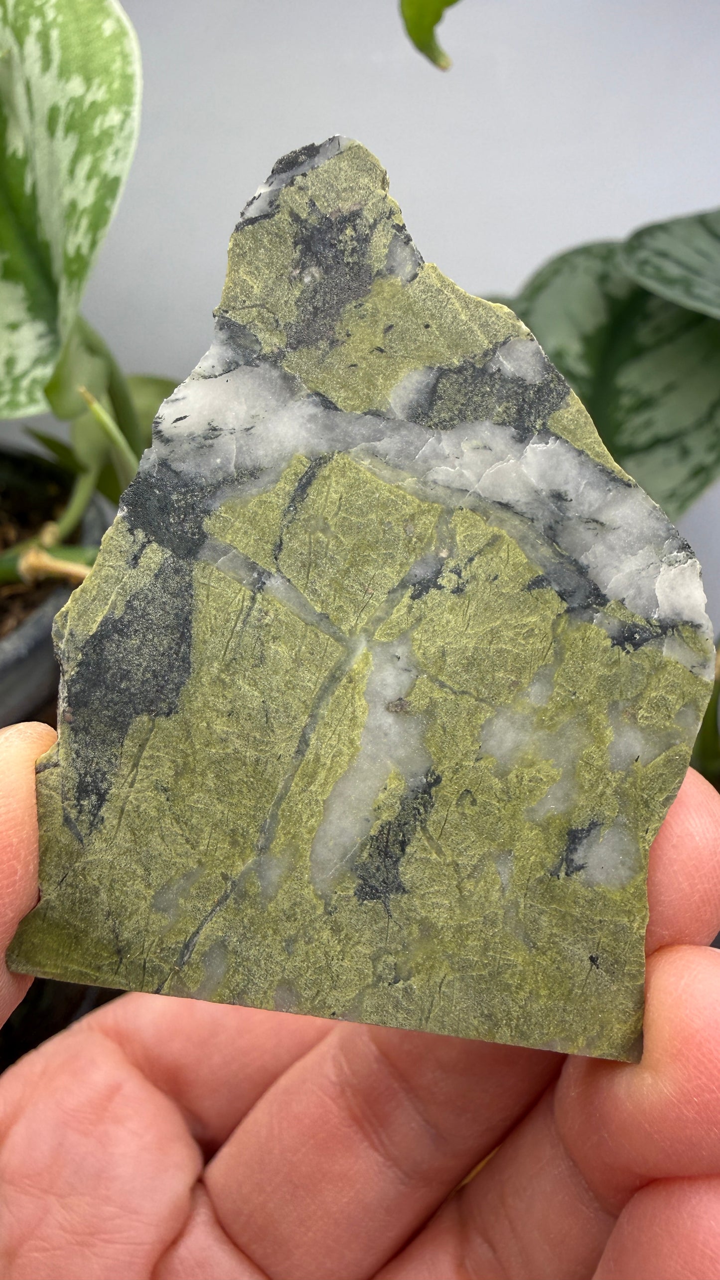 Epidote with Quartz- Virginia, USA