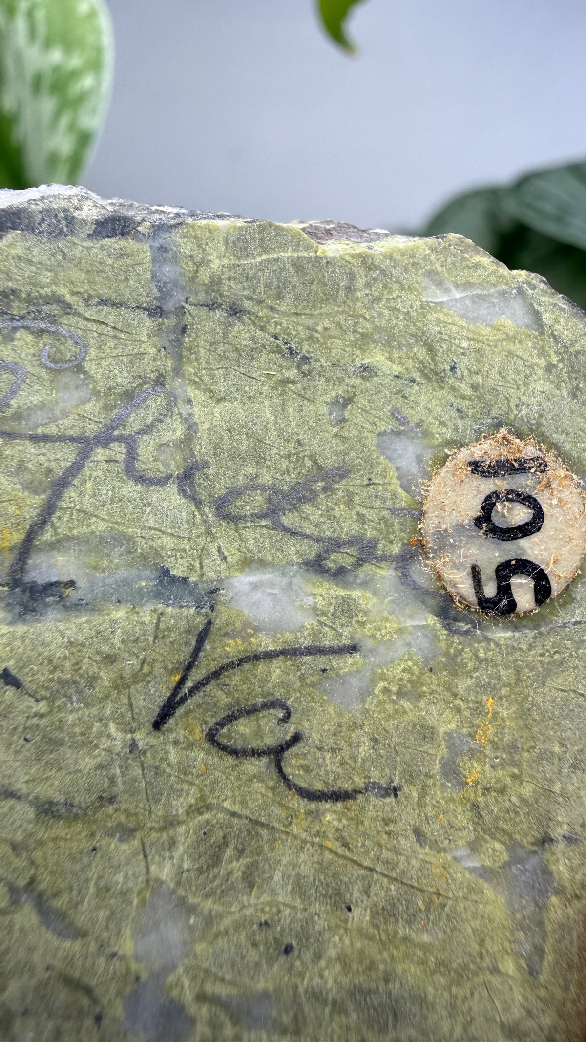 Epidote with Quartz- Virginia, USA