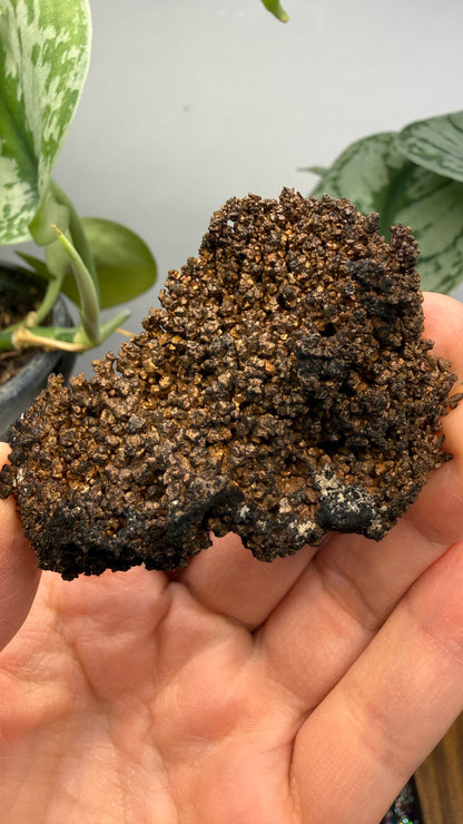 Native Copper- Nacozari, Sonora, Mexico
