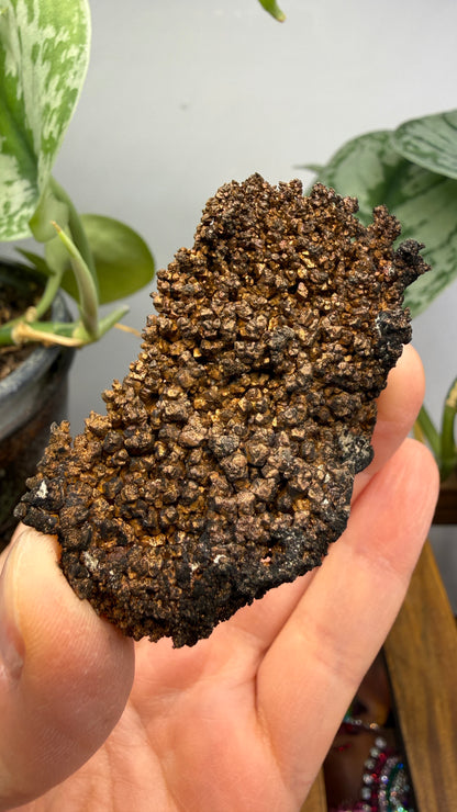 Native Copper- Nacozari, Sonora, Mexico