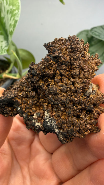 Native Copper- Nacozari, Sonora, Mexico