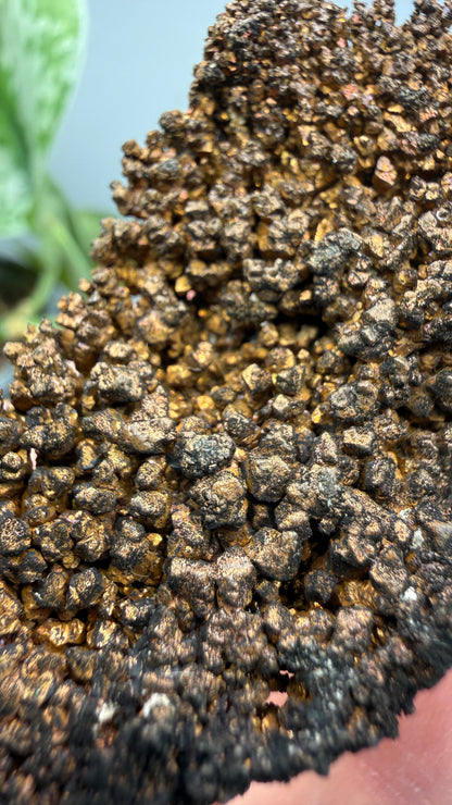 Native Copper- Nacozari, Sonora, Mexico
