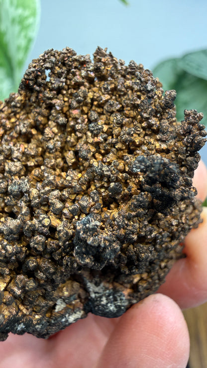 Native Copper- Nacozari, Sonora, Mexico