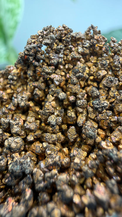 Native Copper- Nacozari, Sonora, Mexico