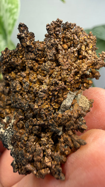 Native Copper- Nacozari, Sonora, Mexico
