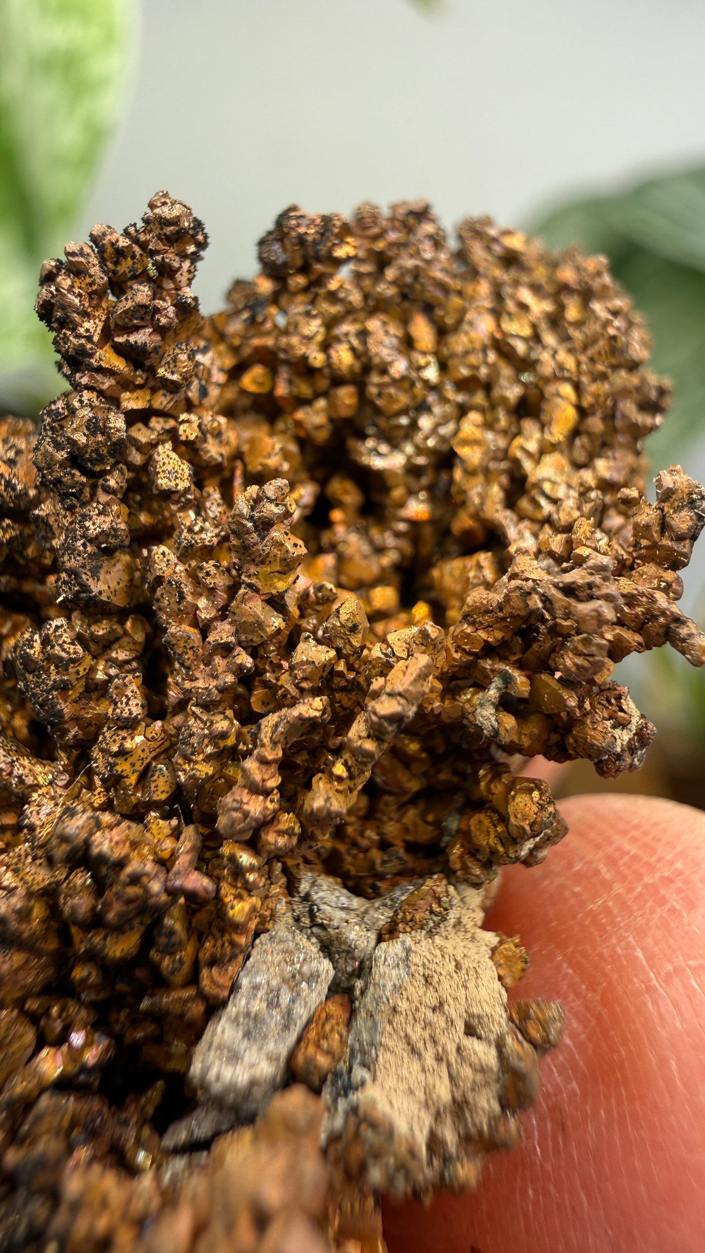 Native Copper- Nacozari, Sonora, Mexico