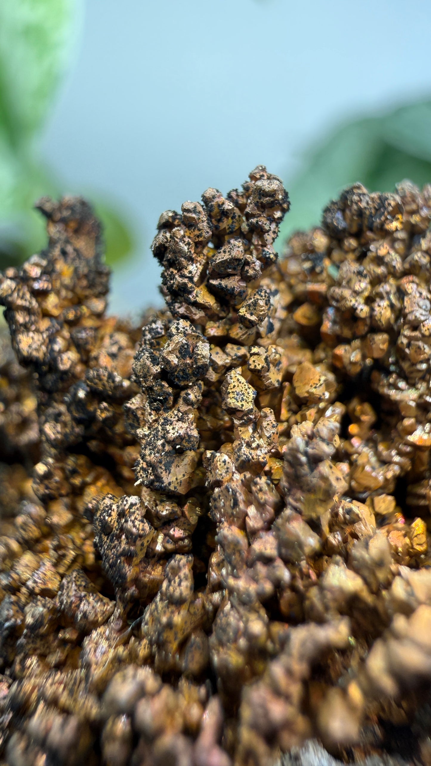 Native Copper- Nacozari, Sonora, Mexico