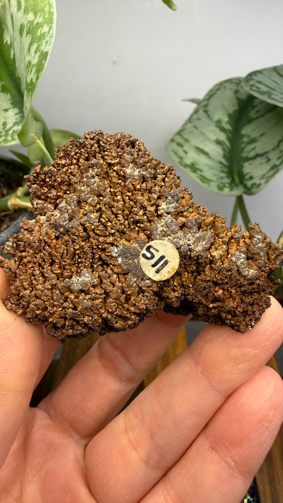 Native Copper- Nacozari, Sonora, Mexico