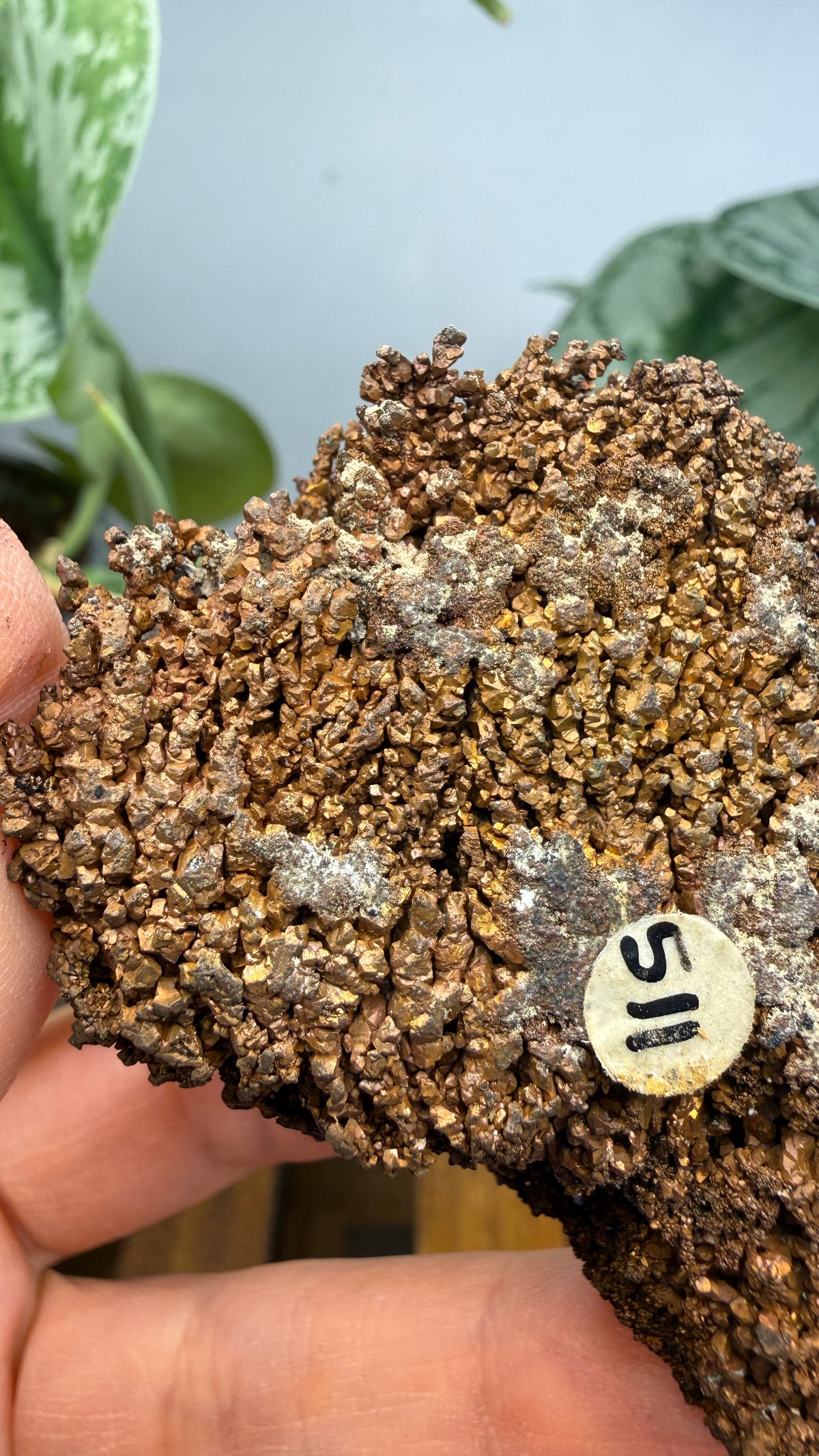 Native Copper- Nacozari, Sonora, Mexico