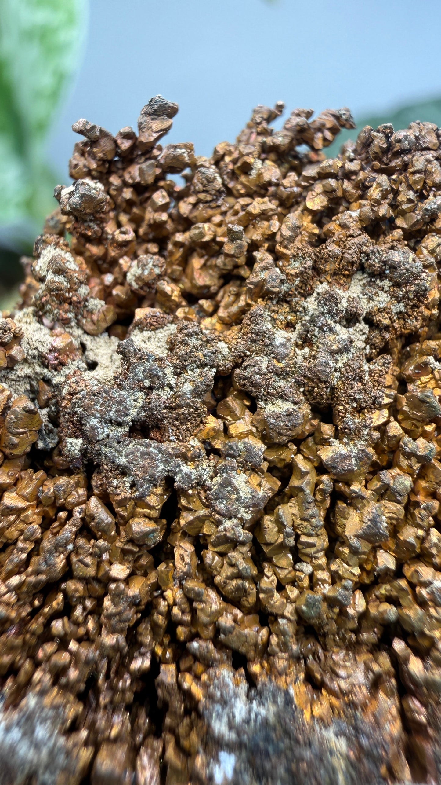 Native Copper- Nacozari, Sonora, Mexico