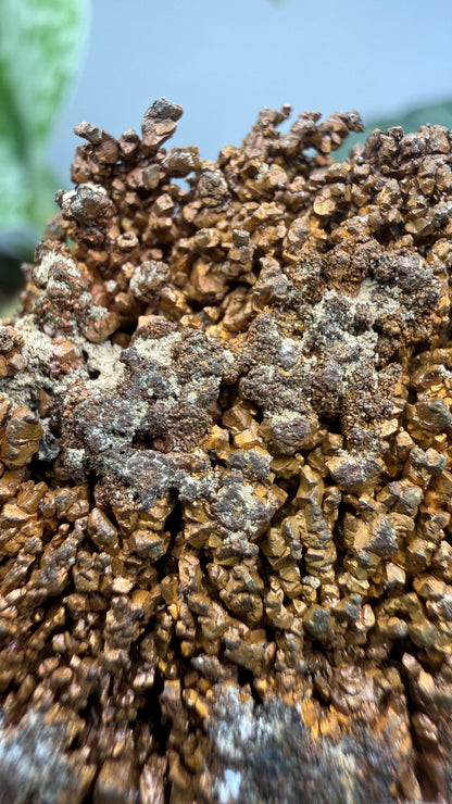 Native Copper- Nacozari, Sonora, Mexico