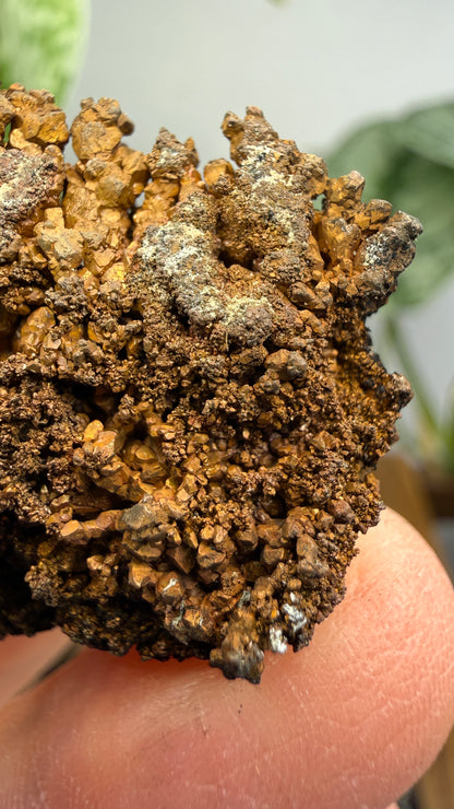 Native Copper- Nacozari, Sonora, Mexico