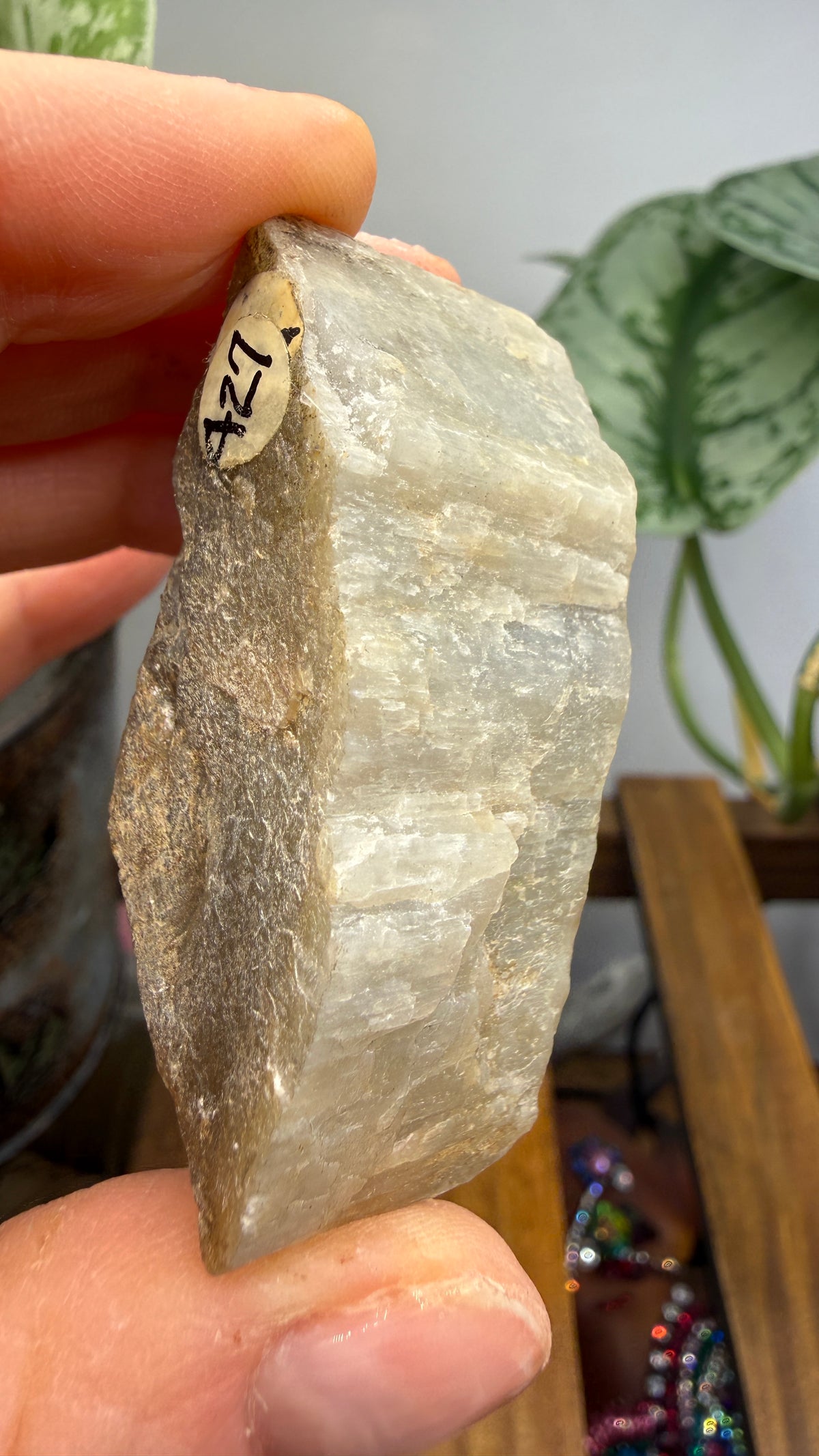 Tremolite- St. Lawrence County, New York