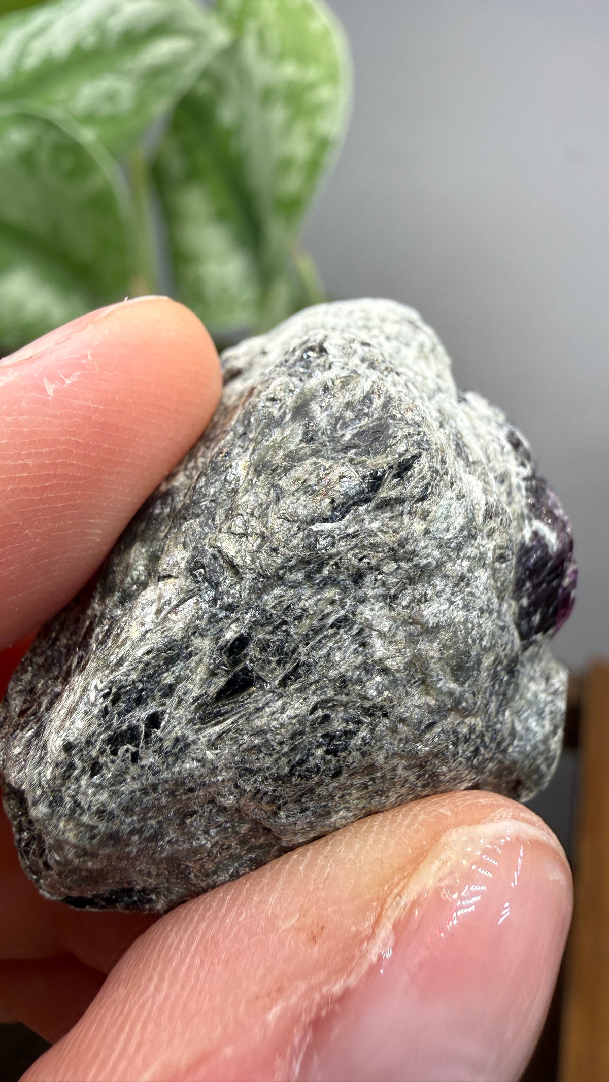 Almandine Garnet- Garnet Ledge, Wrangell area, southeastern Alaska, USA