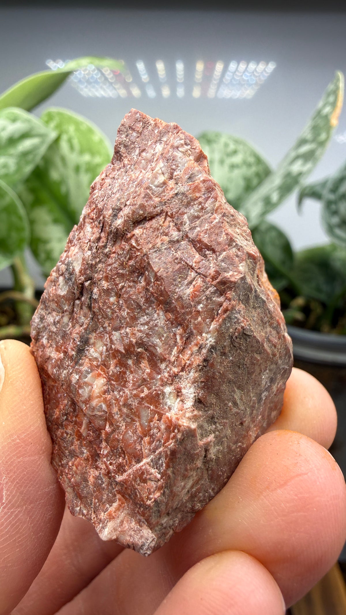 Chlorapatite- Ødegården (Odegarden) Apatite Mines, Bamble, Telemark, Norway (attributed)