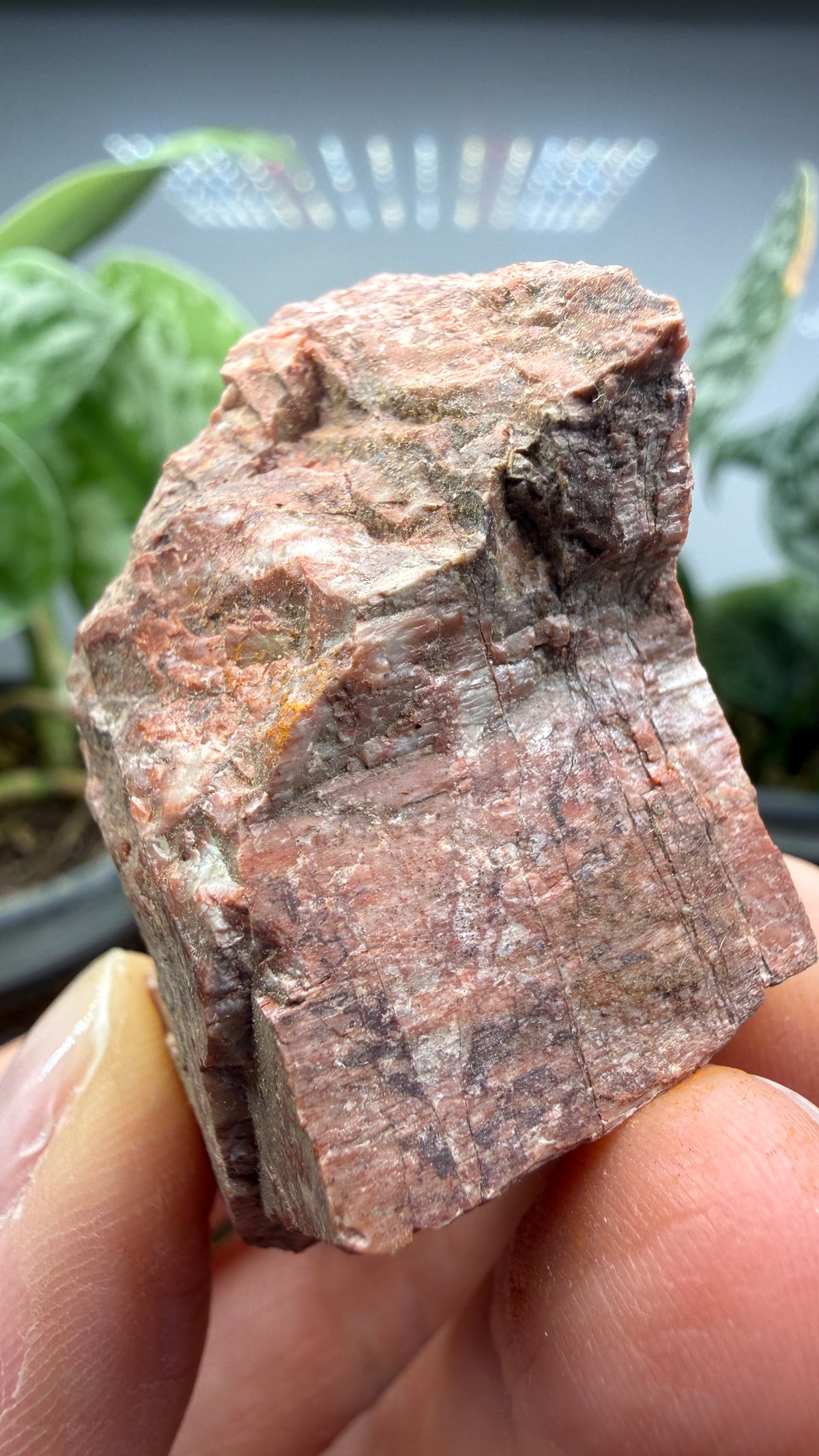 Chlorapatite- Ødegården (Odegarden) Apatite Mines, Bamble, Telemark, Norway (attributed)