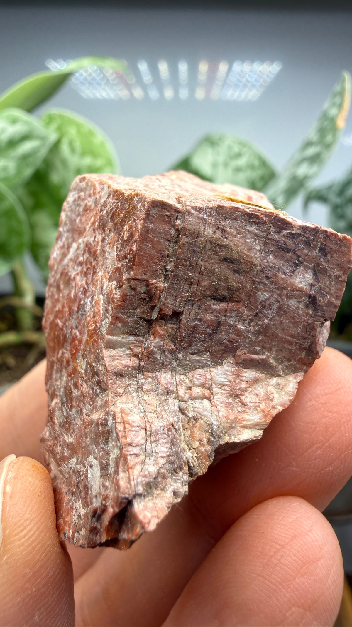 Chlorapatite- Ødegården (Odegarden) Apatite Mines, Bamble, Telemark, Norway (attributed)