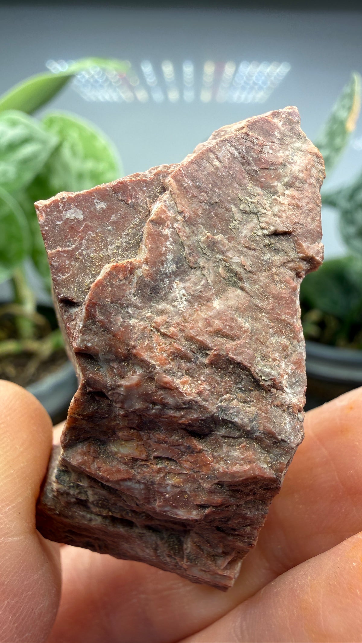 Chlorapatite- Ødegården (Odegarden) Apatite Mines, Bamble, Telemark, Norway (attributed)