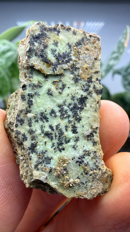 Garnierite- Riddle Mine, Riddle, Riddle Mining District, Douglas County, Oregon, USA
