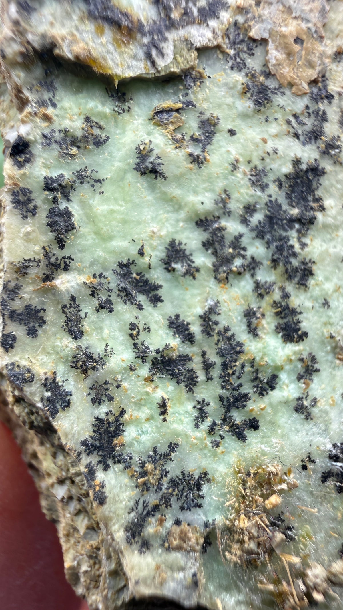 Garnierite- Riddle Mine, Riddle, Riddle Mining District, Douglas County, Oregon, USA